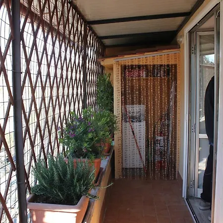 Treemme House *